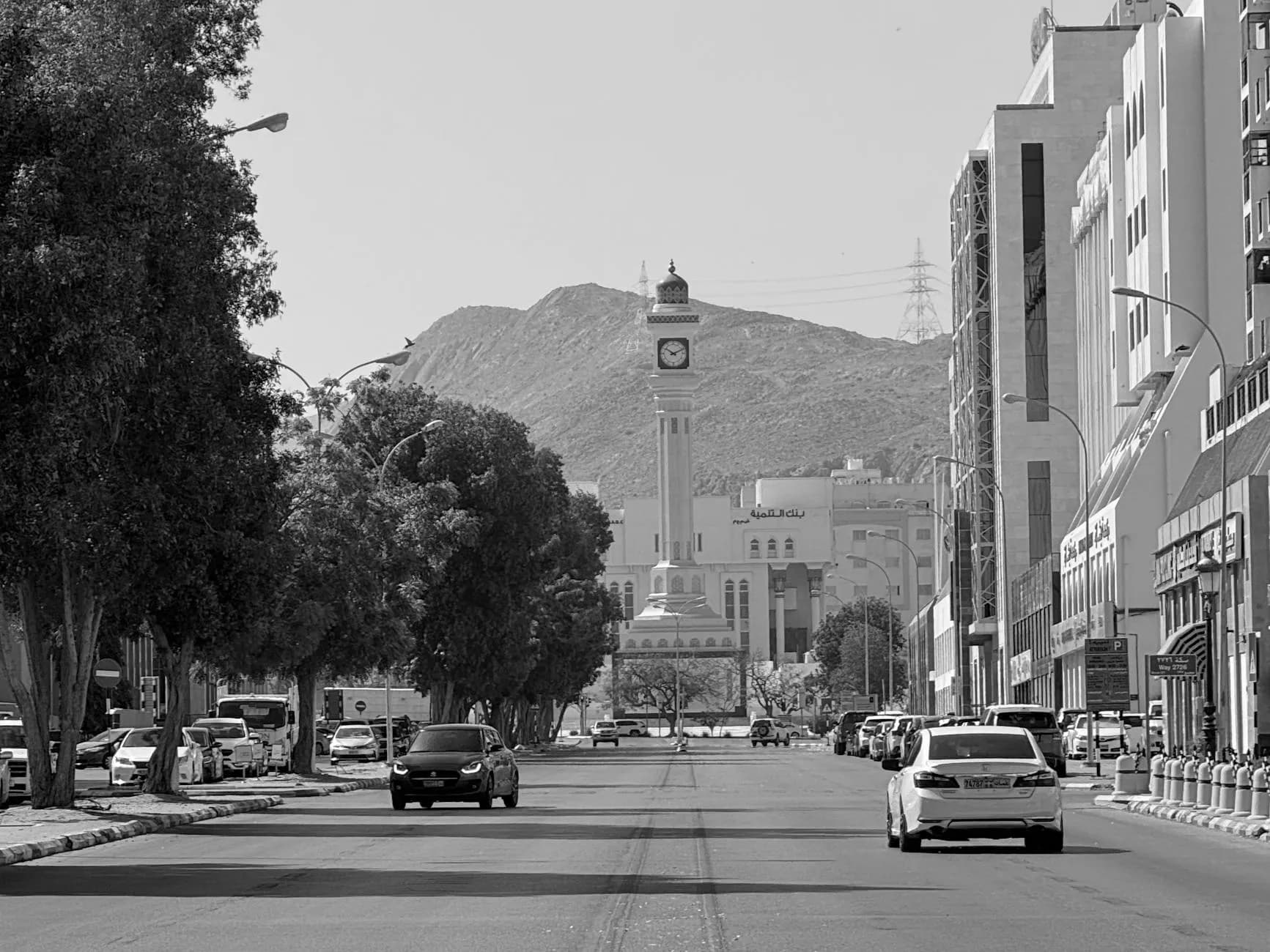 Taif (City of Roses)